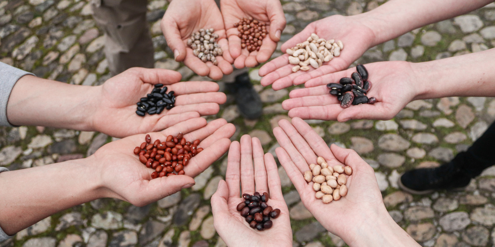 Viele Hände mit Saatgut einen Kreis bildend