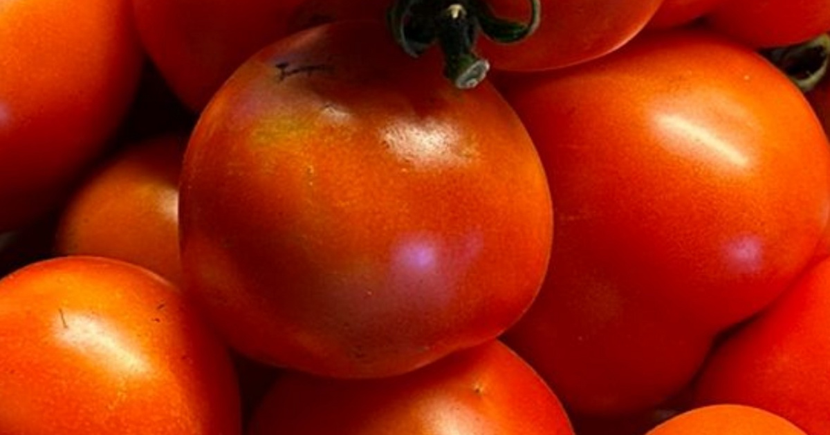 Der rote Sommertraum - «Pflanz das Rare!»